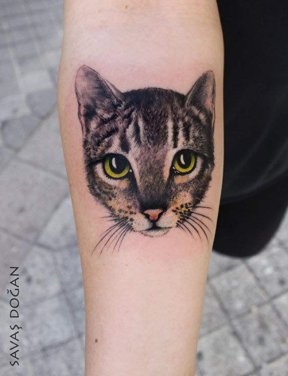 tatouage tête de chat réaliste