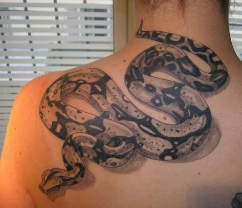 tatouage serpent dos