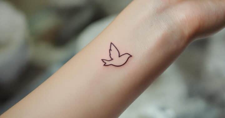 Tatouage colombe : paix, douceur et modèles féminins