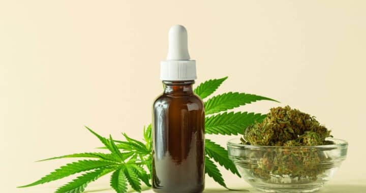 Small buds, trim ou premium : comprendre les formats de CBD