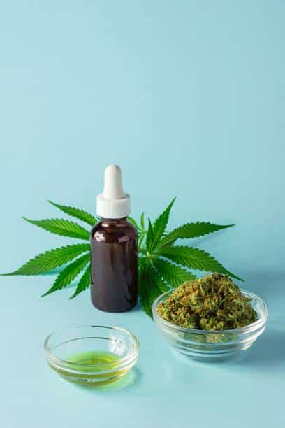 fleur cbd huile culture