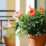 d&eacute;couvrez le dipladenia, une plante tendance, ses caract&eacute;ristiques, ses soins et ses usages pour embellir votre int&eacute;rieur ou jardin.