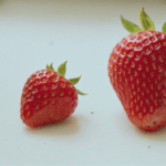 d&eacute;couvrez comment la taille des fraises influence leur saveur pour choisir entre petites ou grosses fraises et savourer pleinement leur go&ucirc;t.